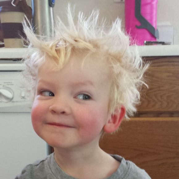 Meet your Posher, Kyle - Picture 1 of 1